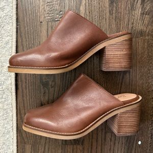 Seychelles spur of the moment mule